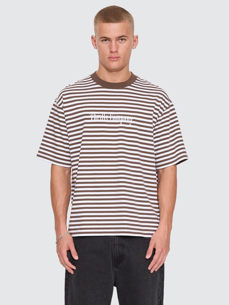 Primitive Stripe Oversize Box Crop Tee in Falcon Stripe - image 1