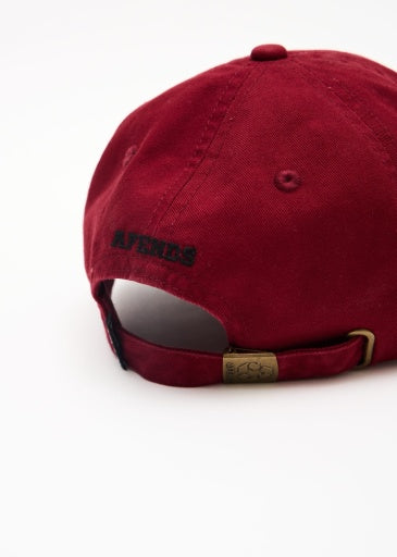 Hard Luck Panelled Cap - Burnt Red